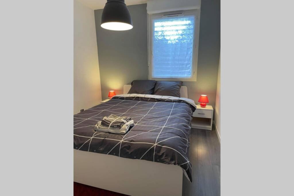 Appartement Joli T2, Jacuzzi, Jardin Et Parking Privés, Métro Toulouse