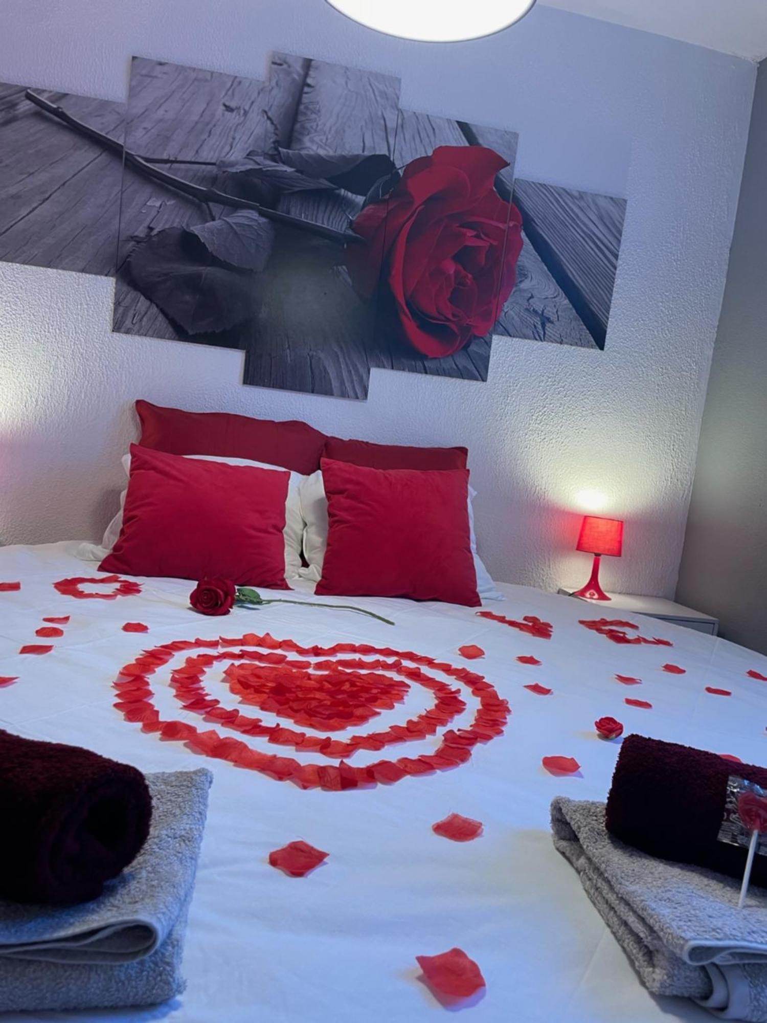 Joli T2, Jacuzzi, Lit Rond, Jardin, Parking Prive, Metro Toulouse